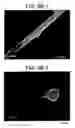 Fig. 10 - Bioartificial device for propagation of tissue, preparation and uses thereof