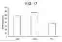Fig. 19 - Bioartificial device for propagation of tissue, preparation and uses thereof