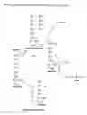 Fig. 04 - Composition of biochemical compounds involved in bioenergy metabolism of cells and method of use