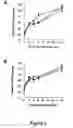 Fig. 03 - Use of heparinases to decrease inflammatory response