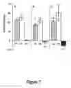 Fig. 08 - Use of heparinases to decrease inflammatory response