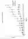 Fig. 08 - Compositions and methods for treating rage-associated disorders