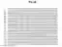 Fig. 06 - Polynucleotides encoding BSL3