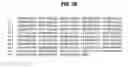 Fig. 10 - Polynucleotides encoding BSL3
