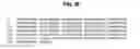 Fig. 14 - Polynucleotides encoding BSL3