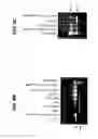 Fig. 31 - Polynucleotides encoding BSL3