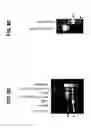 Fig. 32 - Polynucleotides encoding BSL3