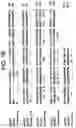 Fig. 04 - Polypeptides involved in immune response