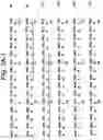 Fig. 05 - Polypeptides involved in immune response