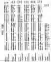 Fig. 27 - Polypeptides involved in immune response
