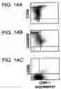 Fig. 32 - Polypeptides involved in immune response