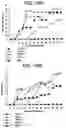 Fig. 34 - Polypeptides involved in immune response