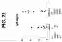 Fig. 41 - Polypeptides involved in immune response
