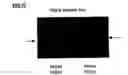 Fig. 14 - Immunogenic compositions comprising a xenogenic prostate protein p501s