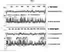 Fig. 02 - Cell surface expression vector of sars virus antigen and microorganisms transformed thereby