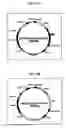 Fig. 05 - Cell surface expression vector of sars virus antigen and microorganisms transformed thereby