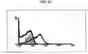 Fig. 11 - Cell surface expression vector of sars virus antigen and microorganisms transformed thereby
