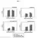Fig. 14 - Cell surface expression vector of sars virus antigen and microorganisms transformed thereby