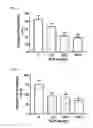 Fig. 04 - Method for selectively inhibiting reuptake of serotonin and norepinephrine using yeast extract