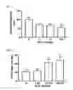 Fig. 05 - Method for selectively inhibiting reuptake of serotonin and norepinephrine using yeast extract