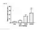 Fig. 06 - Method for selectively inhibiting reuptake of serotonin and norepinephrine using yeast extract