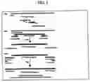 Fig. 02 - Tuberculosis nucleic acids, polypeptides and immunogenic compositions