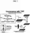 Fig. 04 - Tuberculosis nucleic acids, polypeptides and immunogenic compositions