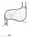 Fig. 05 - Agent with a retarded release of substances