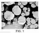 Fig. 02 - Methods and compositions for the targeted delivery of biologically active agents