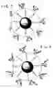 Fig. 02 - Beads for capturing target cells from bodily fluid