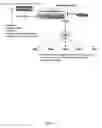 Fig. 02 - Anti-inflammatory pharmaceutical compositions for reducing inflammation and the treatment of prevention of gastric toxicity