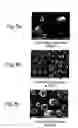 Fig. 06 - Method for making carbon nanotubes