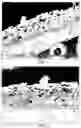Fig. 02 - Polymer composite fibrous coating on dipped rubber articles and method