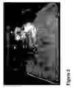 Fig. 03 - Metal-ceramic materials