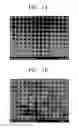 Fig. 02 - Proton conductor and electrochemical device using the same
