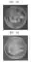 Fig. 08 - Metallic separator for fuel cell and fuel cell including the same