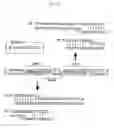 Fig. 02 - Method For Synthesizing Single-Stranded Nucleic Acid