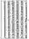 Fig. 02 - Methods, compositions, and kits for amplifying and sequencing polynucleotides