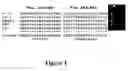 Fig. 02 - Gene probes for the selective detection of microorganisms that reductively dechlorinate polychlorinated biphenyl compounds