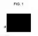 Fig. 02 - Methods and compositions for the preparation and use of fixed-treated cell-lines and tissue in fluorescence in situ hybridization