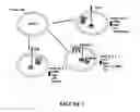 Fig. 03 - Cellular signaling pathway based assays, reagents and kits