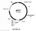 Fig. 06 - Cellular signaling pathway based assays, reagents and kits