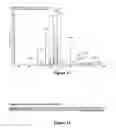 Fig. 09 - De-novo sequencing of nucleic acids