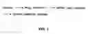 Fig. 02 - Direct selection of cells by secretion product