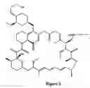 Fig. 02 - Immunoassays for everolimus
