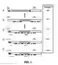 Fig. 02 - Selection of host cells expressing protein at high levels