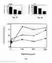 Fig. 02 - Promotion of peroxisomal catalase function in cells