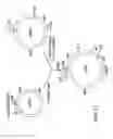 Fig. 12 - Packaging of positive-strand RNA virus replicon particles