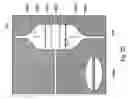 Fig. 09 - Capillary perfused bioreactors with multiple chambers