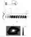 Fig. 01 - Optical imaging method and system for characterization and mapping of tissue lesions